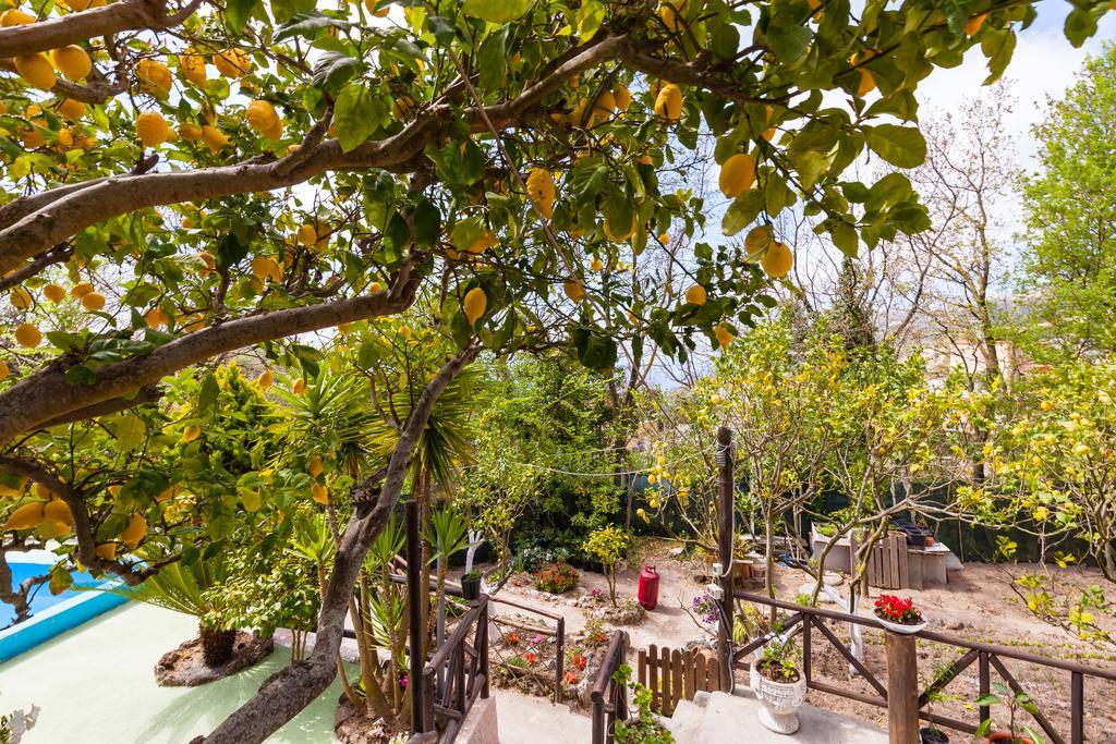 Nitrodi Experience Guest House Barano d'Ischia Luaran gambar