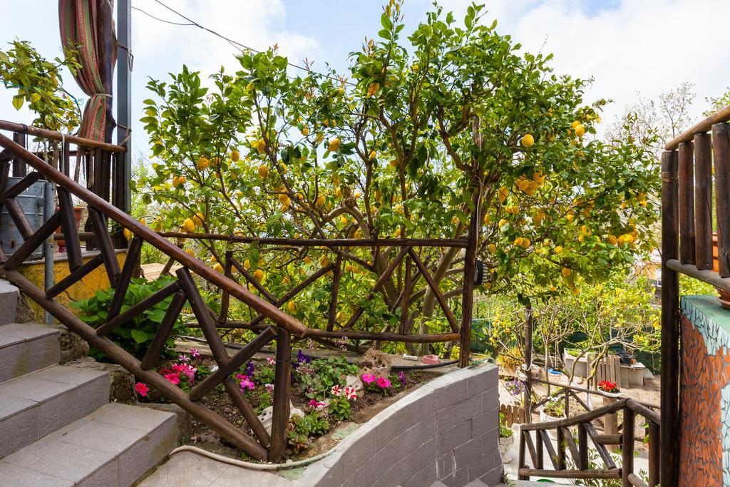 Nitrodi Experience Guest House Barano d'Ischia Luaran gambar